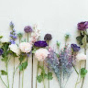 Meet your Posher, Kristi